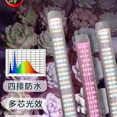 T20LED植物灯管 花卉上色加UV多肉补光灯水培蔬菜花架 