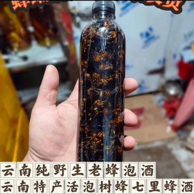 现货云南特产野生树蜂马蜂七里老蜂泡酒材料葫包蜂一瓶300只包邮