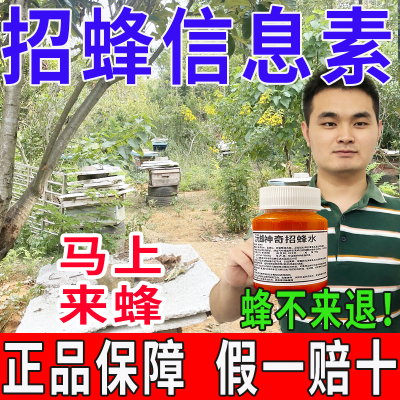 神奇招蜂水引蜂水诱蜂水收蜂水诱蜂液收捕野蜜蜂信息素蜂王信息素