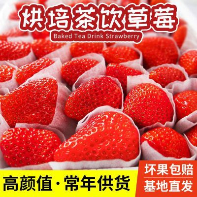 云南新鲜双流草莓直供蛋糕奶茶糖葫芦现摘一整箱包邮大果