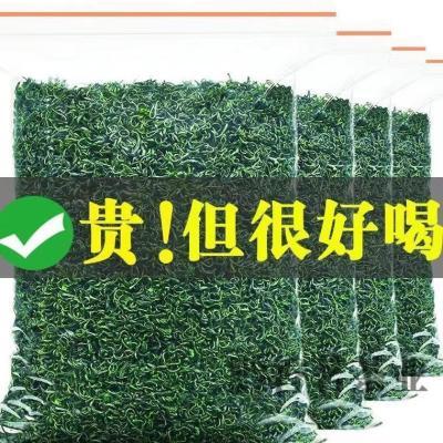 正宗高山云雾绿茶2023新茶明前贵州毛峰日照充足春茶嫩芽散装茶叶