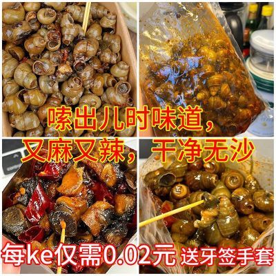 麻辣田螺特大个开袋即食香辣嗦螺大袋装螺丝儿时零食熟食小吃批发