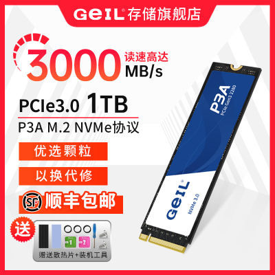 GeILP3A 1TB̬ӲM.2 PCIe 3.0 NVMEЭӿڸSSD̬