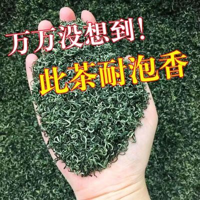 特级绿茶2024新茶贵州毛尖绿茶高山云雾茶浓香型高档茶叶散装500g