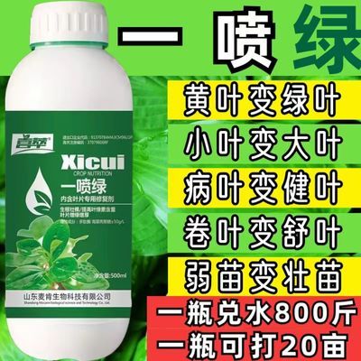 槟榔黄叶一喷绿死苗烂根大棚蔬菜果树绿植花卉绿叶壮叶面肥一喷绿