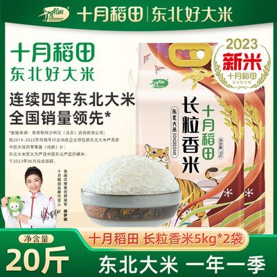十月稻田 长粒香米5kg东北大米香米粳米真空装10斤20斤