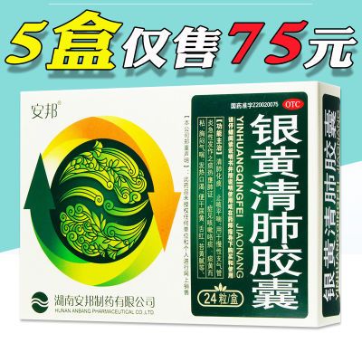 安邦 银黄清肺胶囊 24粒 清肺化痰 止咳平喘 支气管炎哮喘肺热