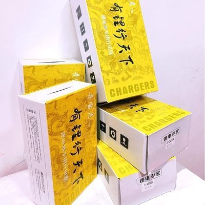 丹宝尼锂电池大功率自动断电全自动智能8A-10A-15A-20A充电器