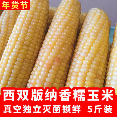 【甜糯】云南西双版香糯小玉米软糯5斤白糯玉米真空独立包装玉米