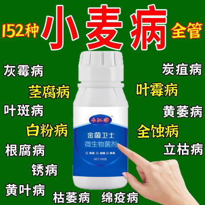 小麦专用药小麦病全治烂根死苗黑穗病根腐病赤霉病白粉专用杀菌剂