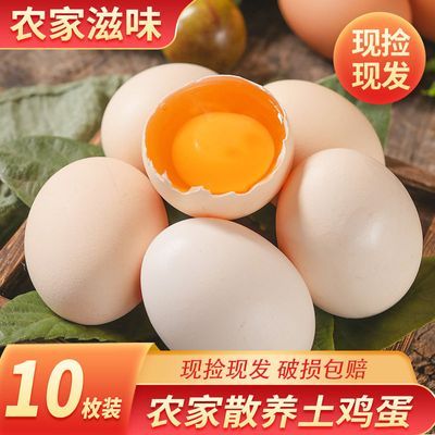 新鲜谷物蛋40-45克农家散养新鲜柴鸡蛋笨鸡蛋儿童孕妇营养蛋特价
