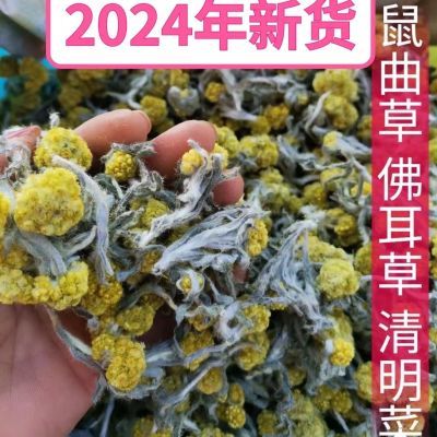 正宗清明草新鲜晒干鼠曲草清明菜绒毛鼠麴佛耳草干清明果