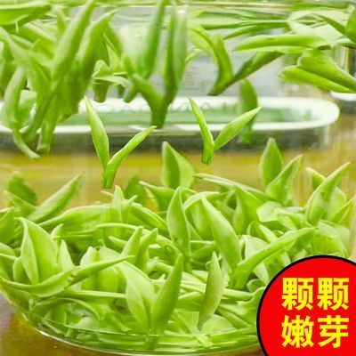 2024新茶明前头采白茶【特级】正品清香型正宗珍稀白茶黄金芽罐装