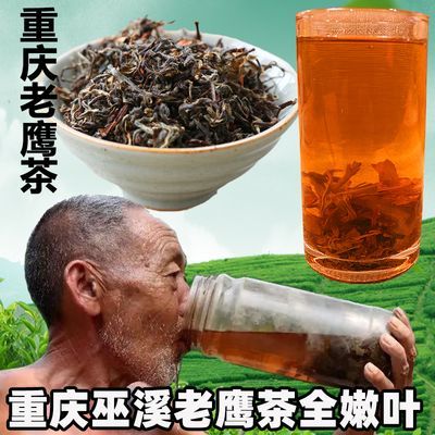 重庆特产正宗巫溪老鹰茶叶老荫茶红白茶嫩叶火锅老阴茶嫩芽孢茶