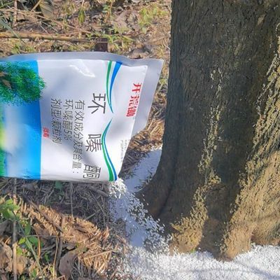 环嗪酮灌木开荒杂草除草药颗粒剂正品森林防火道园林除草剂农用