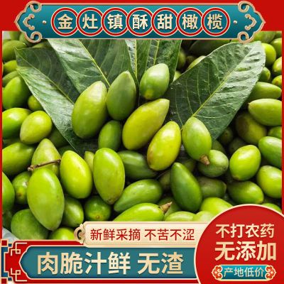 潮汕正宗特级甜种橄榄现摘现发新鲜青果生吃甘甜无渣孕妇水果包邮
