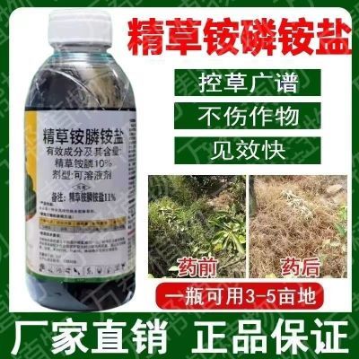 精草铵膦铵盐除草剂老牌子果园荒地飞蓬杂草专用强力除草厂家批发