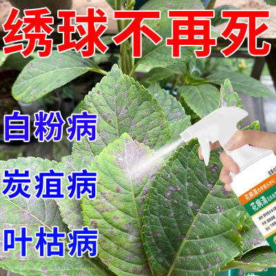 绣球病害清】白粉病炭疽病黑斑病叶枯病家庭花卉植物通用型杀菌剂