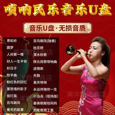 喜庆唢呐民乐重低音车载音乐u盘百鸟朝凤纯音乐经典怀旧高音质mp3