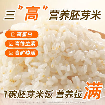 【90%留胚率】胚芽米东北黑土谷物米营养粥米大米5斤当季新米