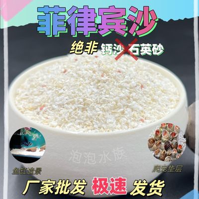 优质菲律宾沙珊瑚沙免洗三湖慈鲷鱼海缸造景寄居蟹垫层底砂贝壳砂