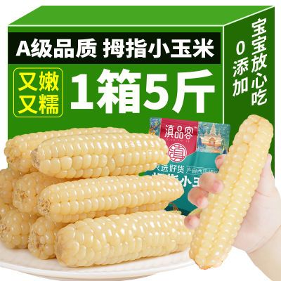 西双版纳云南拇指玉米傣家新鲜手指迷你玉米棒即食儿童早餐代餐