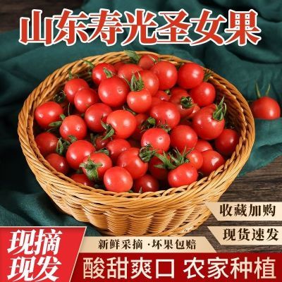 超甜釜山88圣女果小番茄新鲜迷你小番茄当季