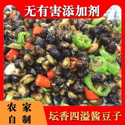 湖南南县老坛菜手工香辣酱豆子550g农家自制霉豆子豆豉开胃下饭菜