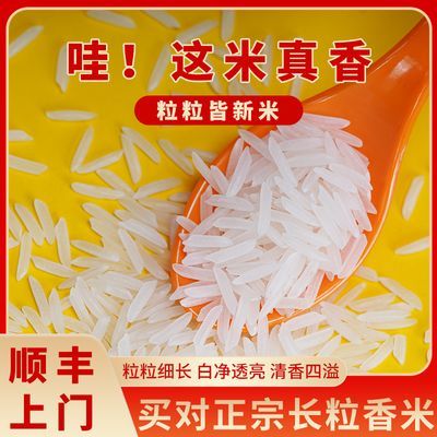 大米新米当季正宗猫牙长粒香米5斤送礼批发大米煲仔饭炒饭专用米