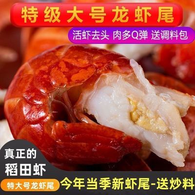 无冰衣龙虾尾鲜活新鲜速冻特大号去头虾球麻辣小龙虾海鲜水产批发