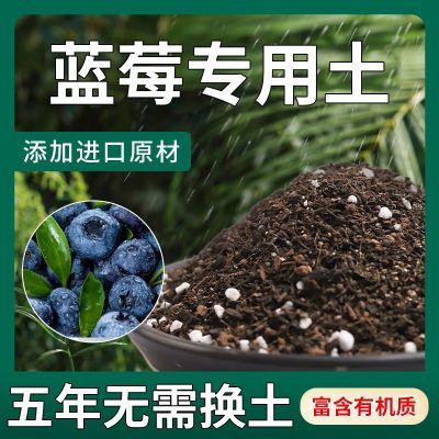 【活动中】蓝莓适用土疏松透气盆栽绿植专用室内植物营养土肥料