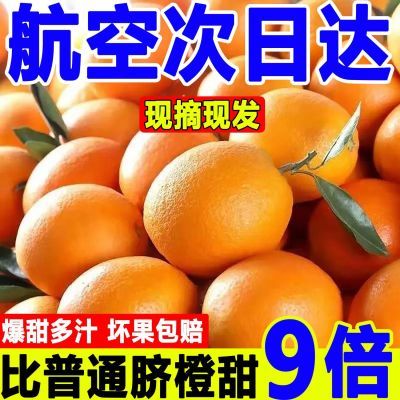 【蜂香蜜橙】橙子新鲜水果脐橙手剥橙孕妇水果冰糖橙赣南脐橙批发