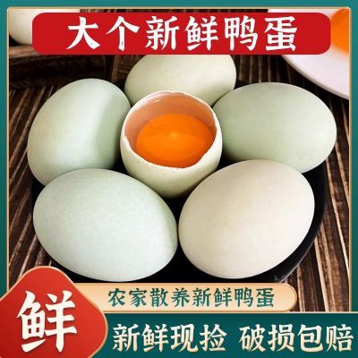 正宗农村土鸭蛋新鲜生鸭蛋农家散养自产大个鸭子蛋可腌咸鸭蛋特产