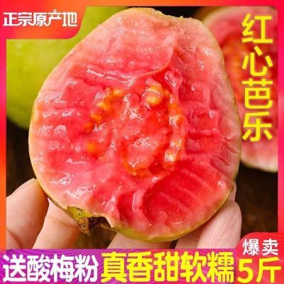 【精品软糯香】广西软心红心芭乐番石榴新鲜水果香甜软鸡屎果包邮