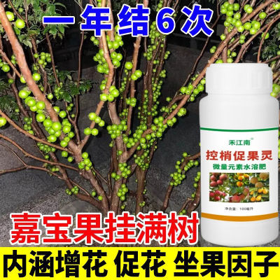 嘉宝果挂果专用肥料授粉座果精增产剂催花保果防落膨大增产叶面肥