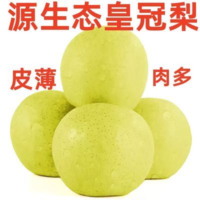 河北皇冠梨应季水果 梨 梨子水果新鲜1/5/10斤装非香梨雪