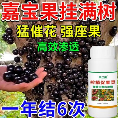 嘉宝果挂果专用肥料授粉座果精增产剂催花保果防落膨大增产叶面肥