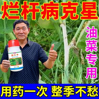 油菜烂杆专用药油菜病全治烂根黄叶菌核病软腐病霜霉病专用杀菌剂