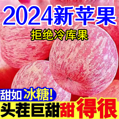 【超甜冰糖心】陕西苹果洛川红富士现摘超脆甜丑苹果彩箱礼盒
