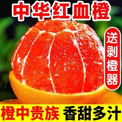 现摘现发秭归中华红血橙红肉红心橙子应季新鲜孕妇水果非塔罗科