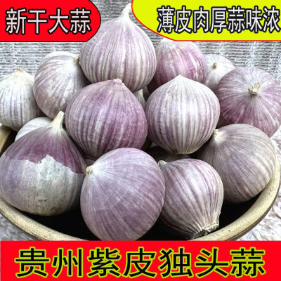 贵州独蒜新鲜大个蒜头独头大蒜红皮紫皮四季可种圆头蔬菜新货特大