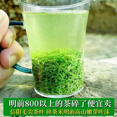 信阳特级毛尖碎茶断芽明前浓香型绿茶2024新茶嫩芽茶沫散装500g