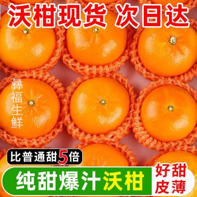 【精选沃柑】沃柑贵妃柑新鲜橘子水果应季水果薄皮桔子非广西武鸣