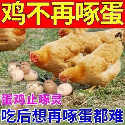 蛋鸡啄蛋啄肛啄羽灵兽用止啄鸡异食癖软骨软壳蛋新款鸡啄蛋套餐