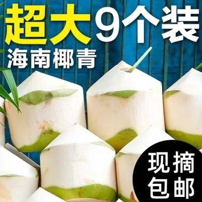 新鲜现摘海南新鲜椰青椰子椰肉椰皇椰宝6/9当季孕妇水果整箱批发