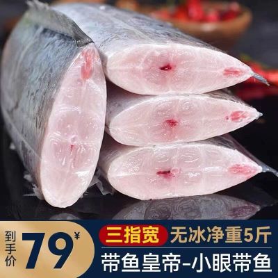 带鱼中段特大新鲜鲜活特级生鲜海鲜水产东海深海鱼小眼5斤
