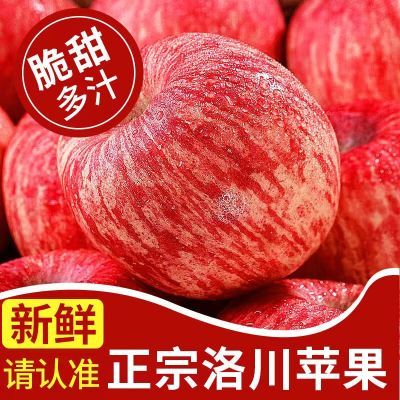 【现货速发】正宗洛川冰糖心苹果水果批发新鲜应季水果苹果红富士