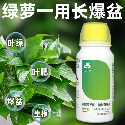 绿萝营养液绿叶营养液植物营养液盆栽通用家用绿箩营养液专用肥