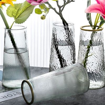 简约玻璃花瓶ins风高颜值透明水培插花干花富贵竹餐桌客厅摆件