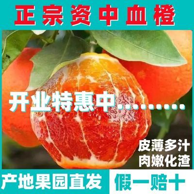【开业特惠】正宗资中血橙果园现摘现发皮薄多汁新鲜应季孕妇水果